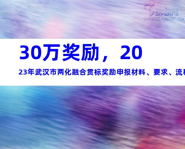 30万奖励，2023年武汉市两化融合贯标奖励申报材料、要求、流程汇总