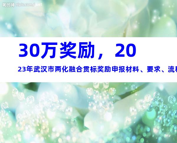 30万奖励，2023年武汉市两化融合贯标奖励申报材料、要求、流程汇总