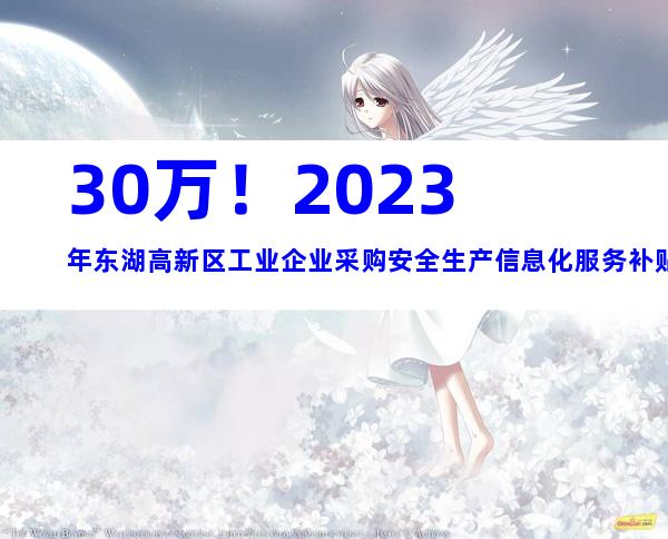30万！2023年东湖高新区工业企业采购安全生产信息化服务补贴申报时间、条件