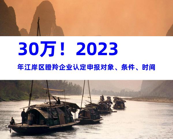30万！2023年江岸区瞪羚企业认定申报对象、条件、时间
