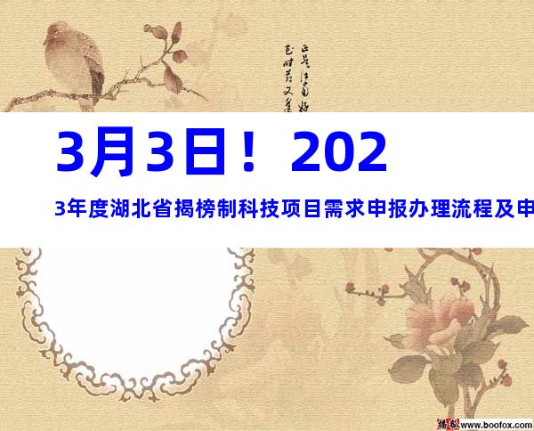 3月3日！2023年度湖北省揭榜制科技项目需求申报办理流程及申报条件