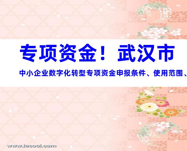 专项资金！武汉市中小企业数字化转型专项资金申报条件、使用范围、申报流程