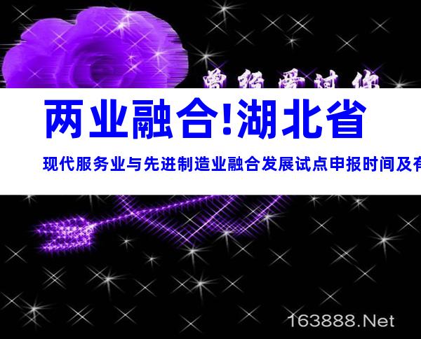 两业融合!湖北省现代服务业与先进制造业融合发展试点申报时间及有关内容