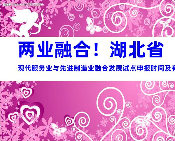 两业融合！湖北省现代服务业与先进制造业融合发展试点申报时间及有关内容