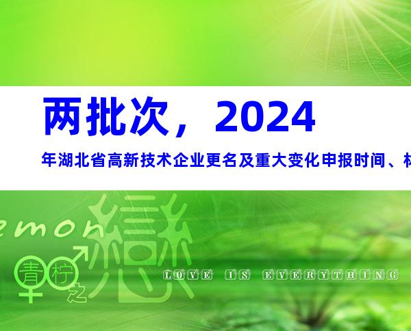 两批次，2024年湖北省高新技术企业更名及重大变化申报时间、材料合集