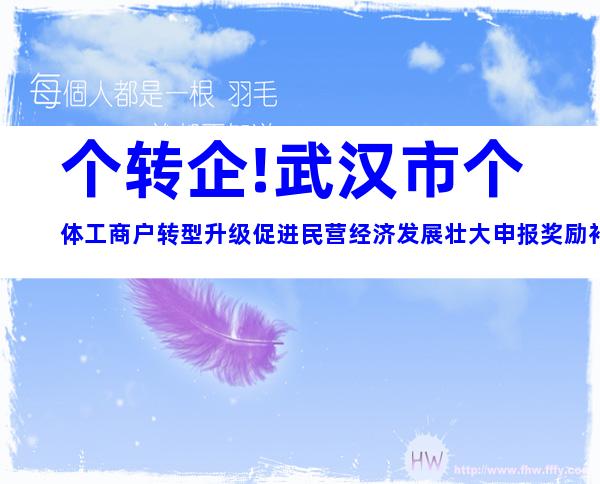 个转企!武汉市个体工商户转型升级促进民营经济发展壮大申报奖励补贴