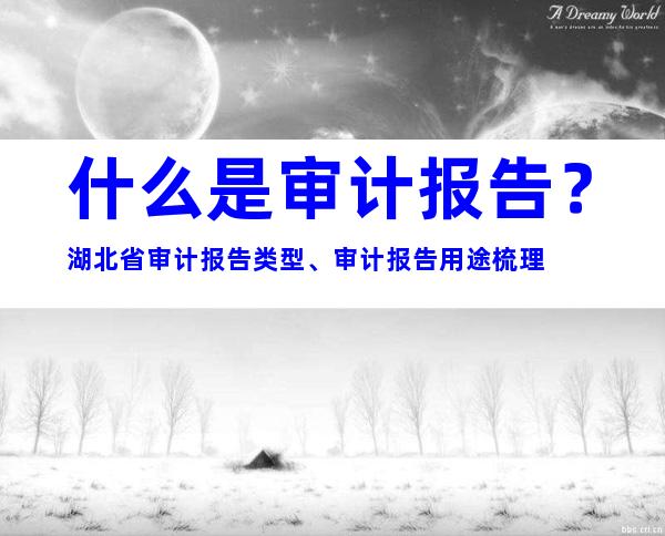 什么是审计报告？湖北省审计报告类型、审计报告用途梳理