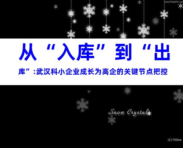从“入库”到“出库”:武汉科小企业成长为高企的关键节点把控