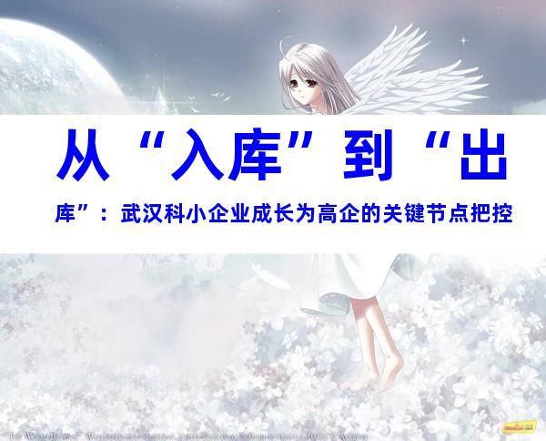 从“入库”到“出库”：武汉科小企业成长为高企的关键节点把控