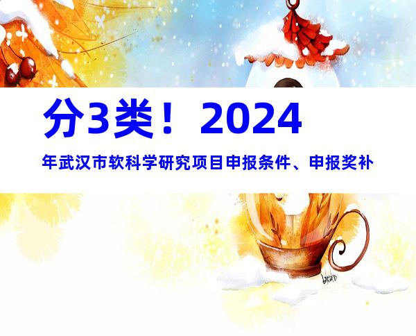 分3类！2024年武汉市软科学研究项目申报条件、申报奖补