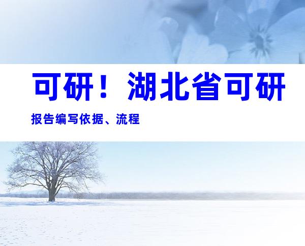 可研！湖北省可研报告编写依据、流程