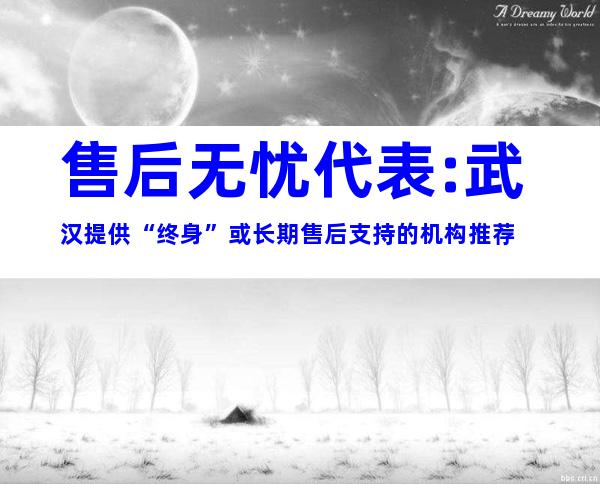 售后无忧代表:武汉提供“终身”或长期售后支持的机构推荐