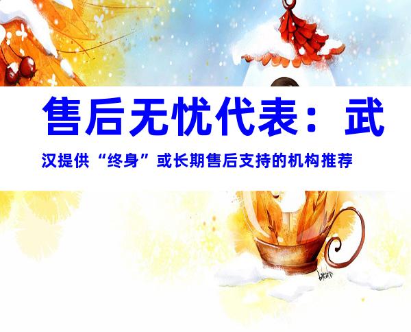 售后无忧代表：武汉提供“终身”或长期售后支持的机构推荐