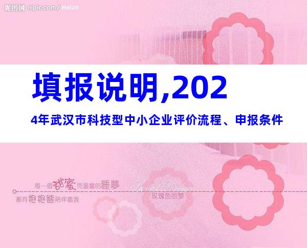 填报说明,2024年武汉市科技型中小企业评价流程、申报条件