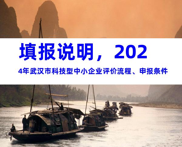 填报说明，2024年武汉市科技型中小企业评价流程、申报条件