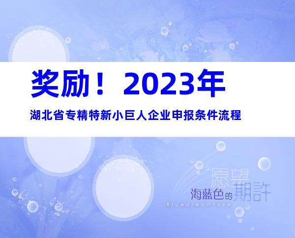 奖励！2023年湖北省专精特新小巨人企业申报条件流程