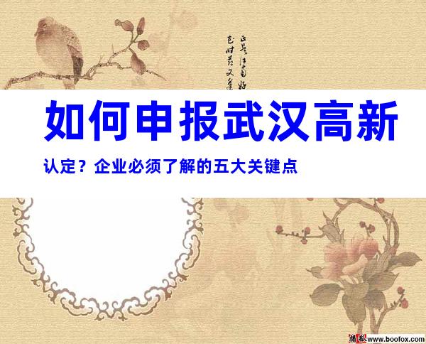如何申报武汉高新认定？企业必须了解的五大关键点