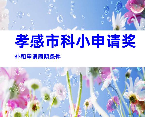 孝感市科小申请奖补和申请周期条件
