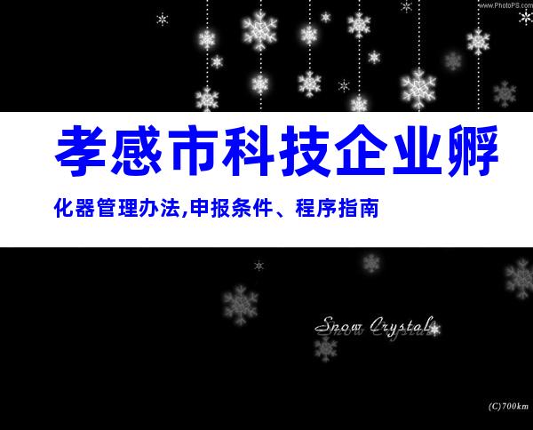 孝感市科技企业孵化器管理办法,申报条件、程序指南