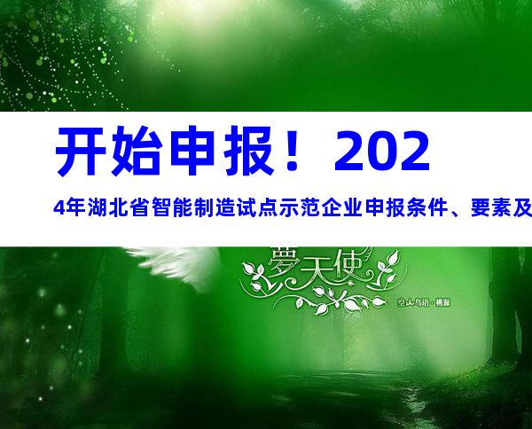 开始申报！2024年湖北省智能制造试点示范企业申报条件、要素及申报时间