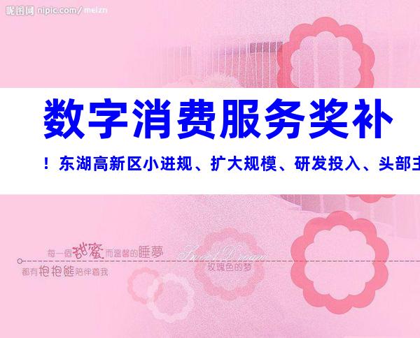 数字消费服务奖补！东湖高新区小进规、扩大规模、研发投入、头部主播引进、人才申报奖励