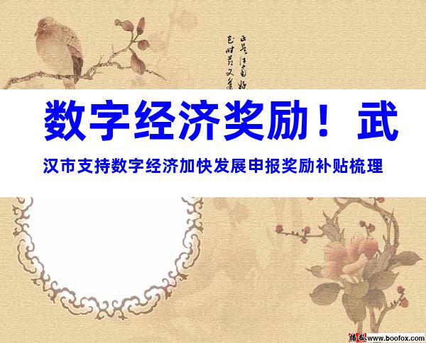 数字经济奖励！武汉市支持数字经济加快发展申报奖励补贴梳理