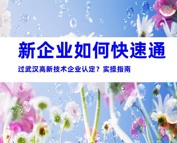 新企业如何快速通过武汉高新技术企业认定？实操指南