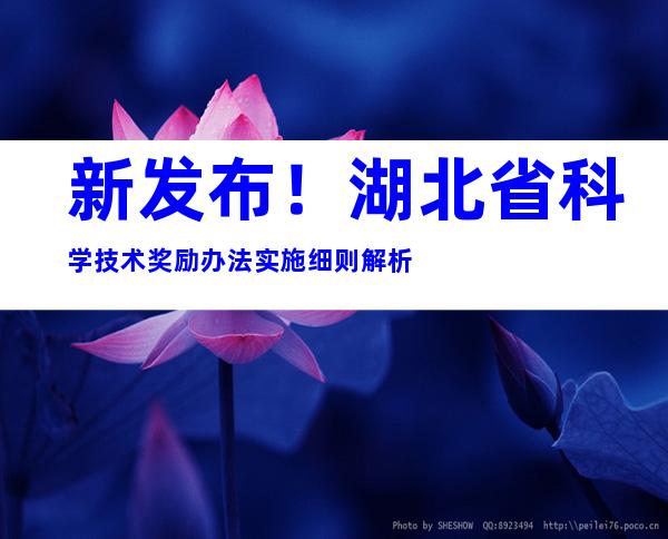 新发布！湖北省科学技术奖励办法实施细则解析