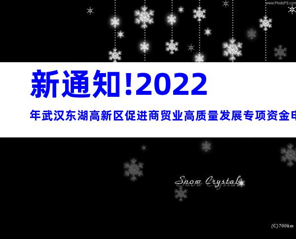 新通知!2022年武汉东湖高新区促进商贸业高质量发展专项资金申报时间、条件