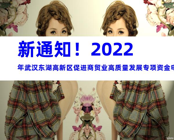 新通知！2022年武汉东湖高新区促进商贸业高质量发展专项资金申报时间、条件