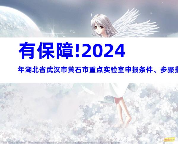 有保障!2024年湖北省武汉市黄石市重点实验室申报条件、步骤指南