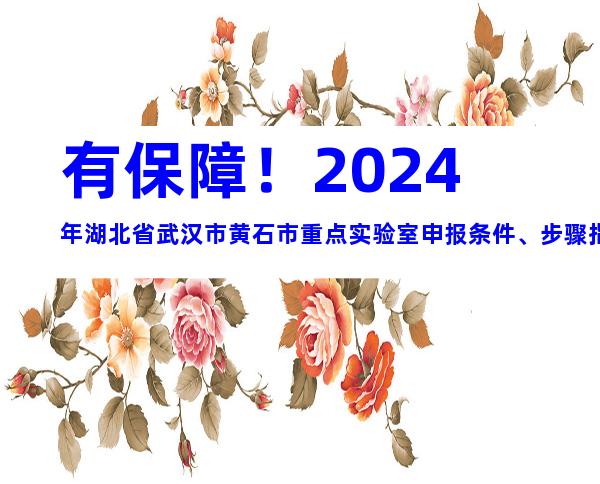 有保障！2024年湖北省武汉市黄石市重点实验室申报条件、步骤指南