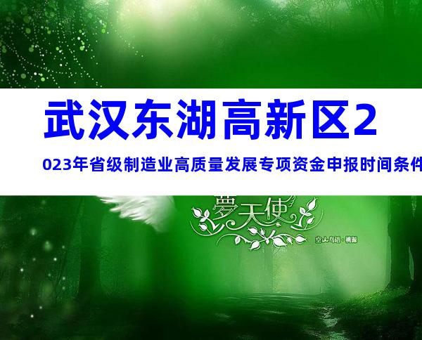 武汉东湖高新区2023年省级制造业高质量发展专项资金申报时间条件及申报材料