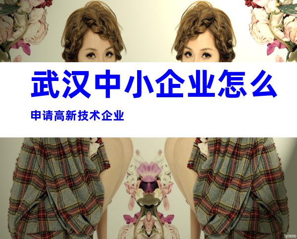 武汉中小企业怎么申请高新技术企业