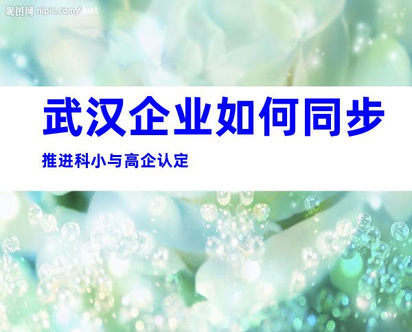 武汉企业如何同步推进科小与高企认定