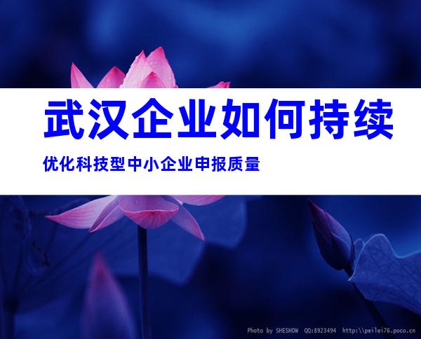 武汉企业如何持续优化科技型中小企业申报质量