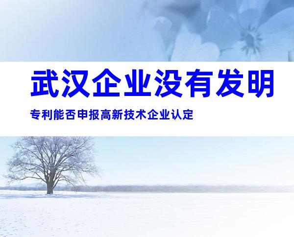 武汉企业没有发明专利能否申报高新技术企业认定