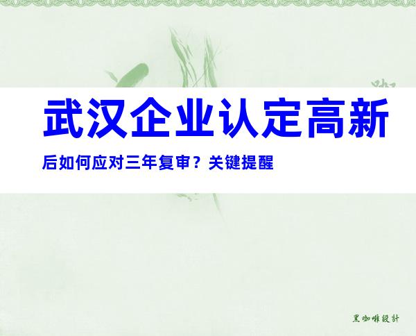 武汉企业认定高新后如何应对三年复审？关键提醒