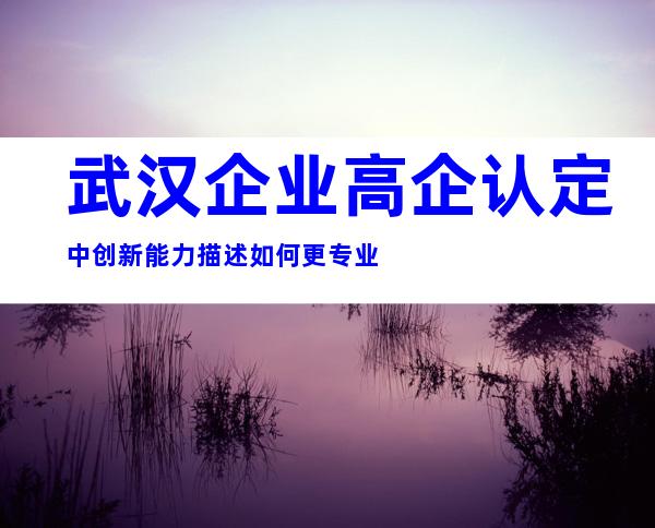 武汉企业高企认定中创新能力描述如何更专业