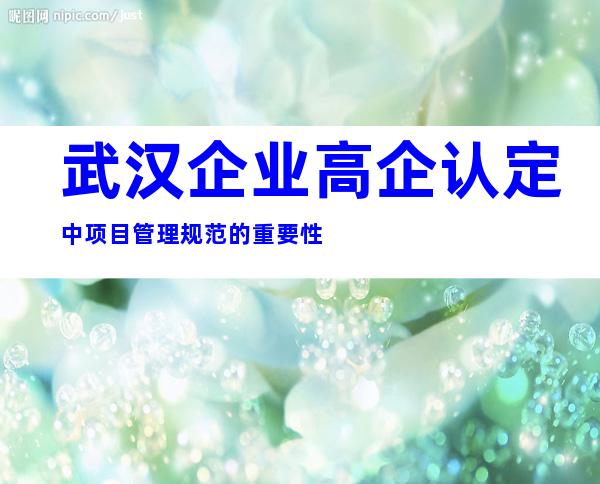 武汉企业高企认定中项目管理规范的重要性