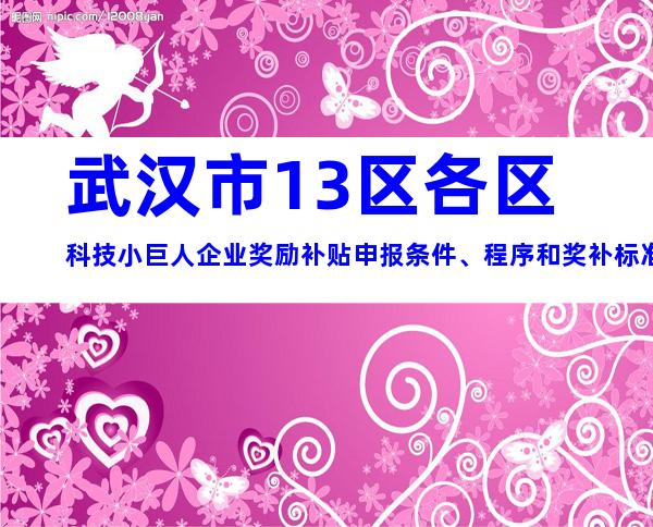 武汉市13区各区科技小巨人企业奖励补贴申报条件、程序和奖补标准