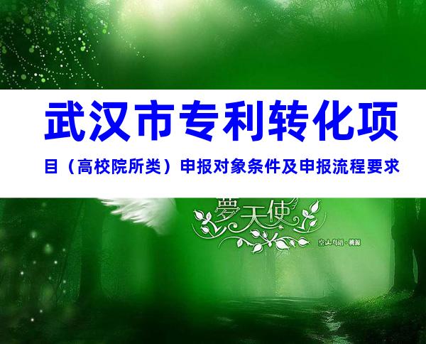 武汉市专利转化项目（高校院所类）申报对象条件及申报流程要求