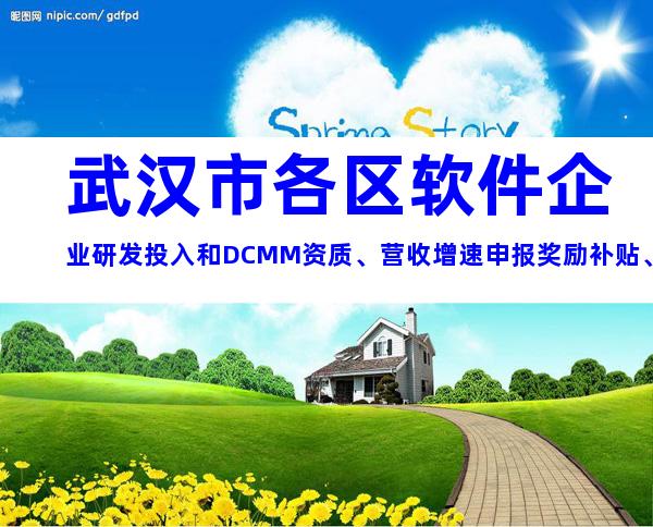 武汉市各区软件企业研发投入和DCMM资质、营收增速申报奖励补贴、条件、材料汇总