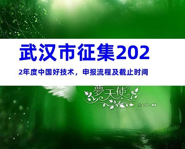武汉市征集2022年度中国好技术，申报流程及截止时间