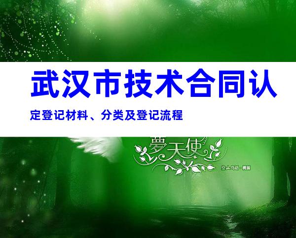 武汉市技术合同认定登记材料、分类及登记流程