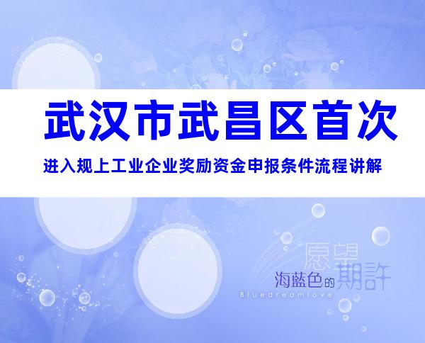 武汉市武昌区首次进入规上工业企业奖励资金申报条件流程讲解