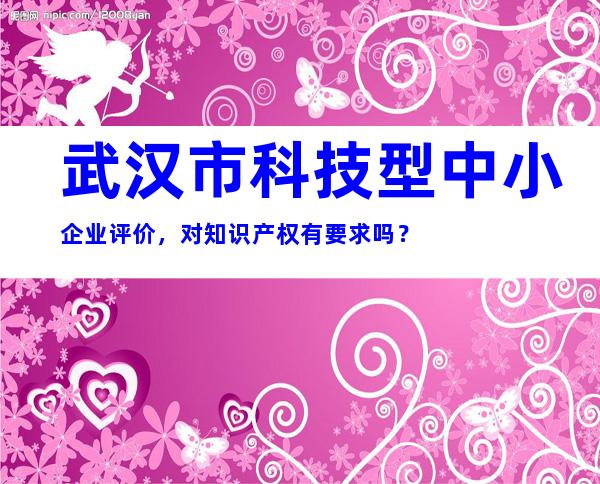 武汉市科技型中小企业评价，对知识产权有要求吗？
