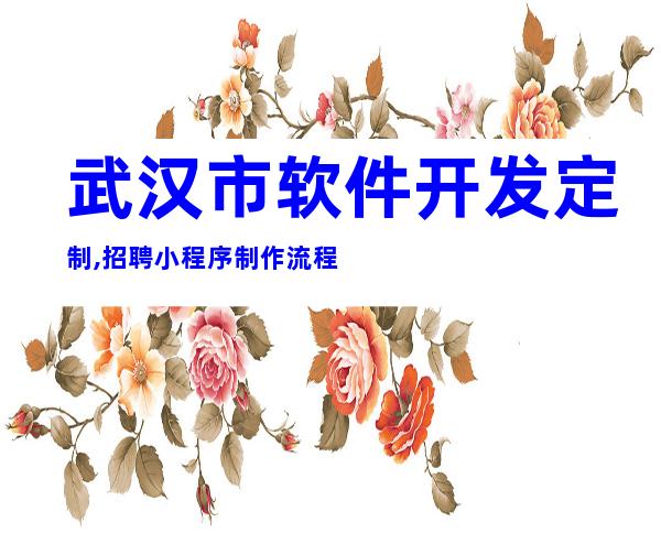 武汉市软件开发定制,招聘小程序制作流程