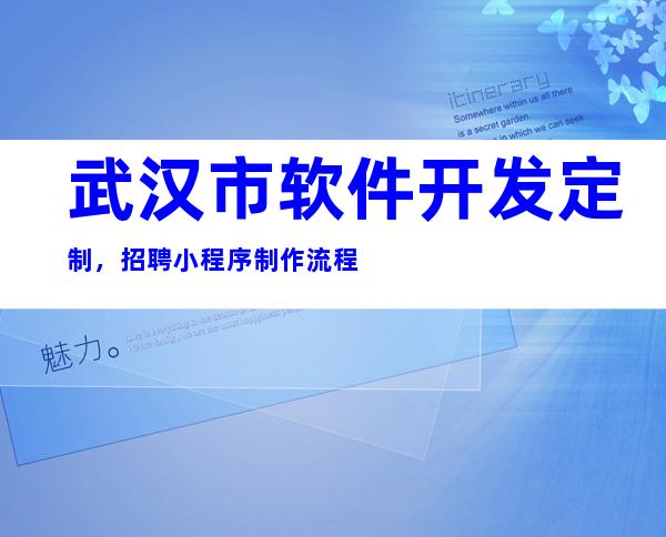武汉市软件开发定制，招聘小程序制作流程