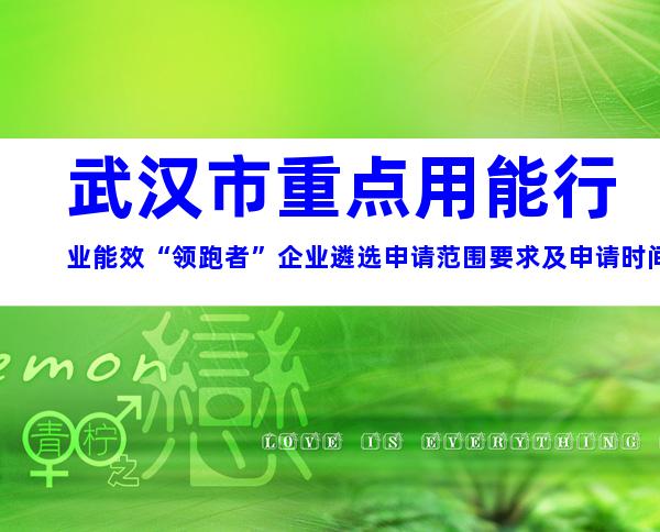 武汉市重点用能行业能效“领跑者”企业遴选申请范围要求及申请时间程序指南